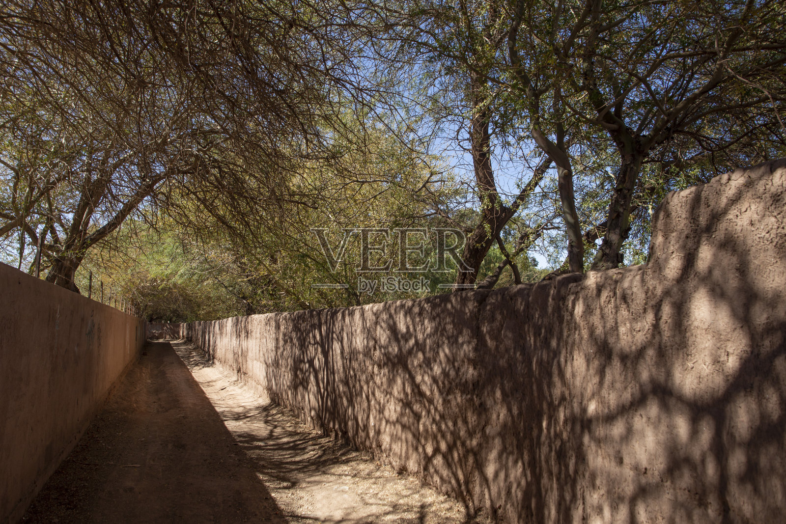 圣佩德罗德阿塔卡马 - 智利照片摄影图片