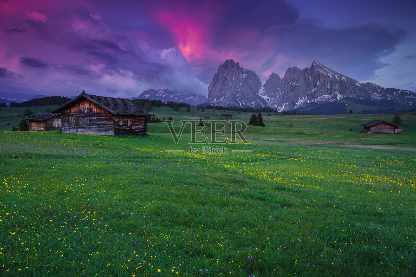 夏季高山景观的田野上有五颜六色的花朵，白云石照片摄影图片