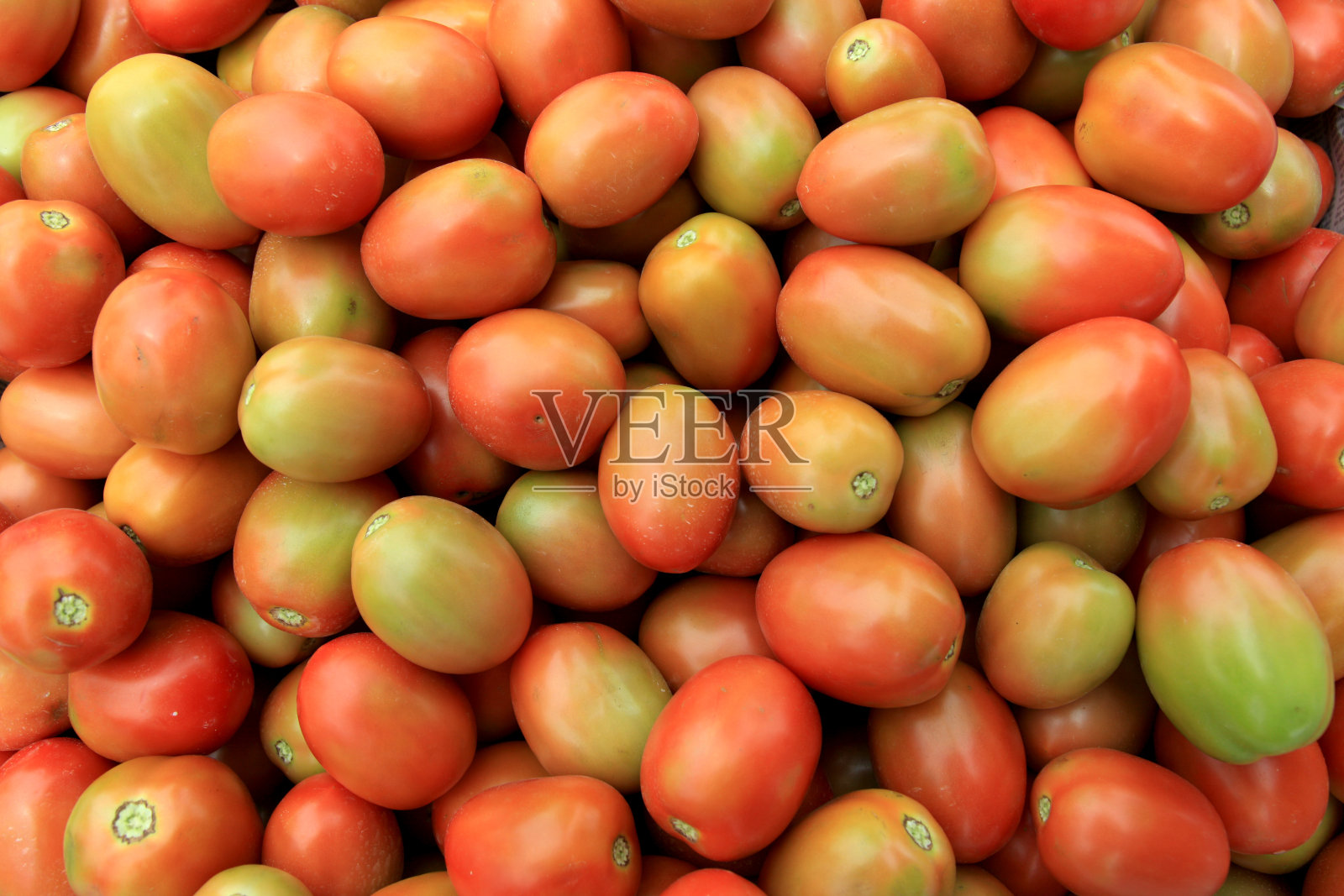 新鲜的番茄已经收获照片摄影图片