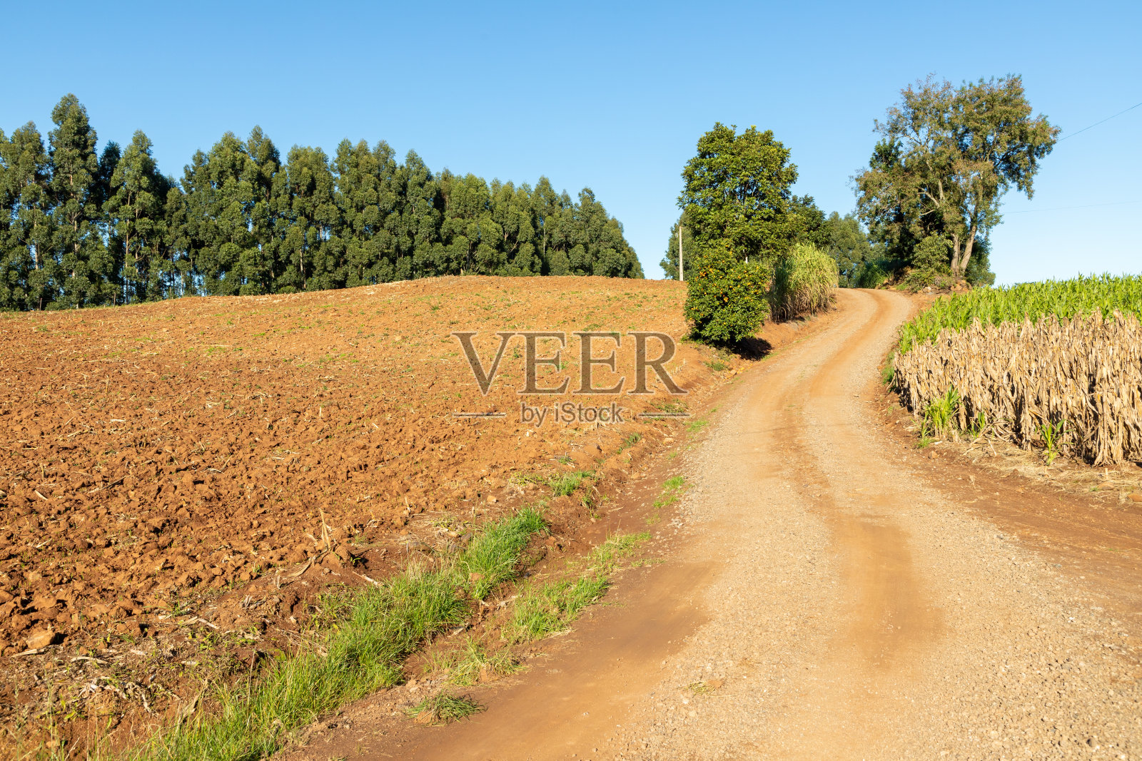 为种植和道路准备的土壤照片摄影图片