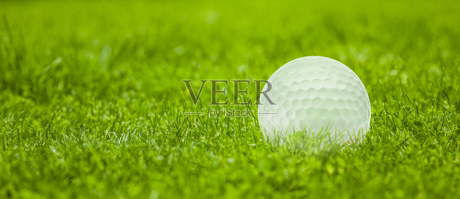 草地上的高尔夫球特写照片摄影图片