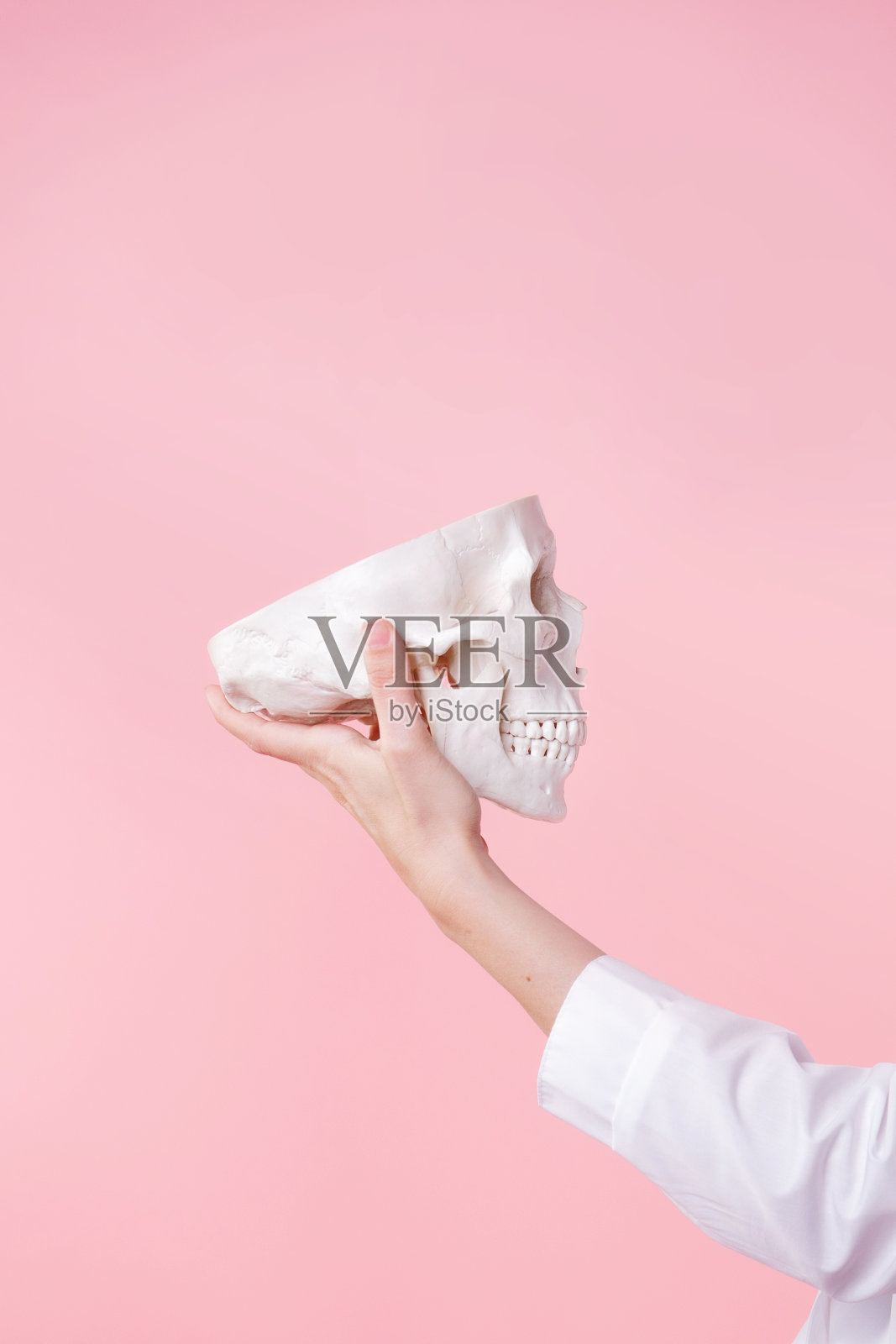 神经科学和心理治疗，主要的健康研究。人脑科学，概念，照片摄影图片