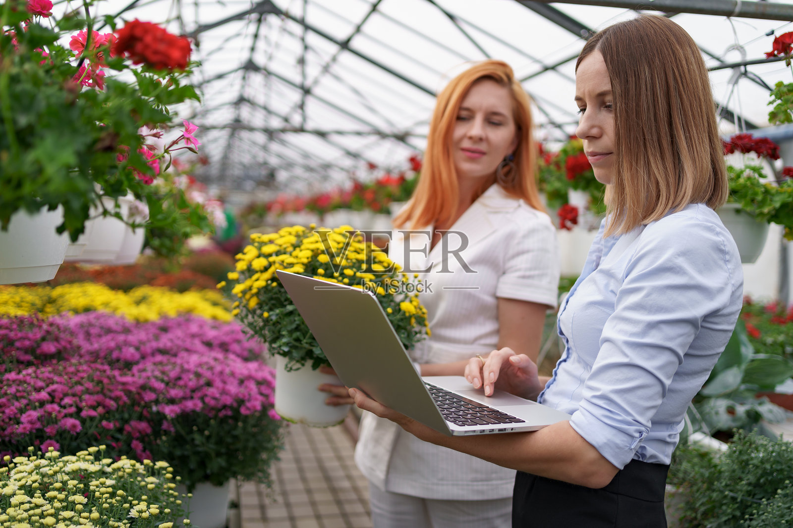 两个女商人在参观温室时交谈照片摄影图片