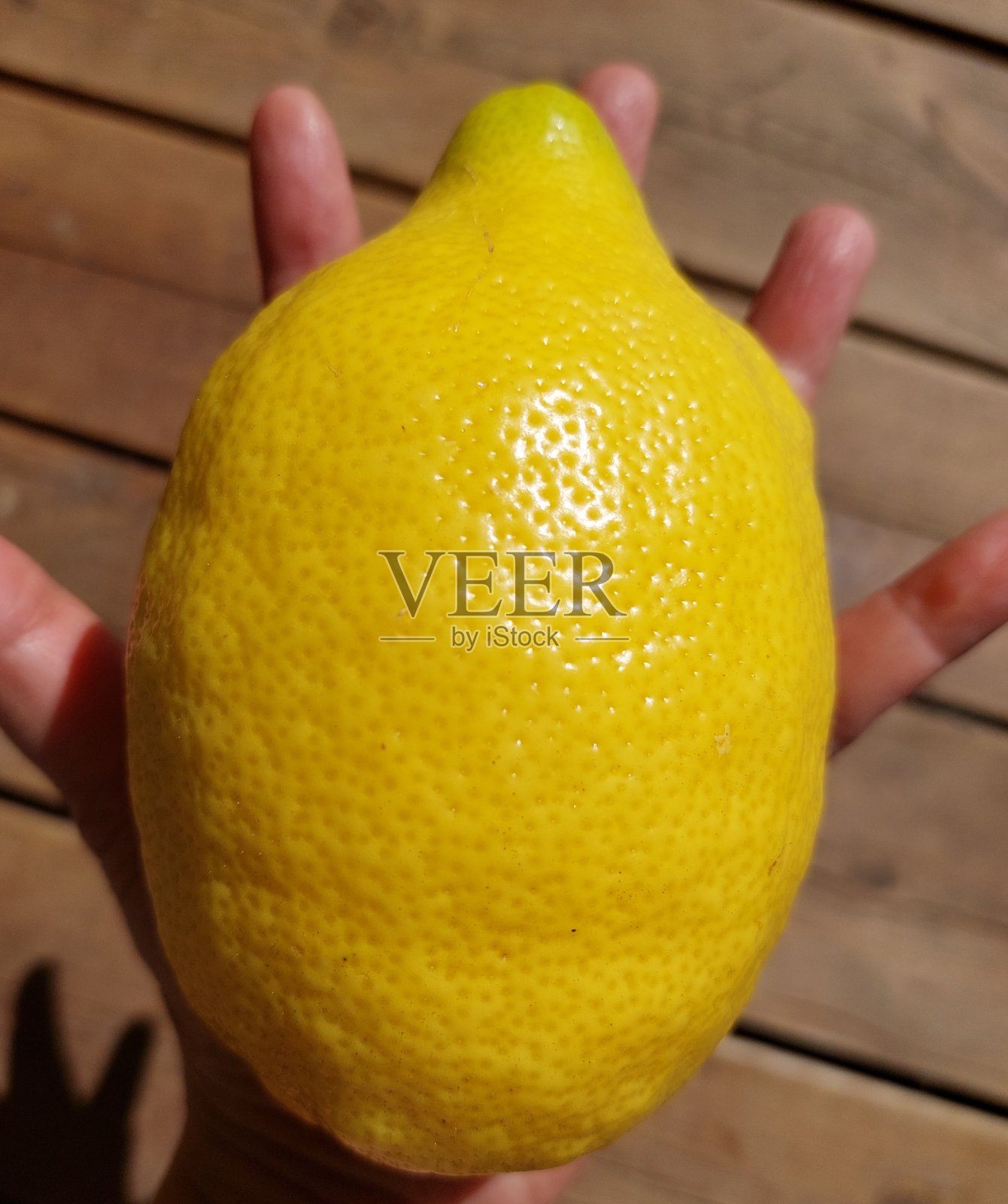 巨大的柠檬照片摄影图片