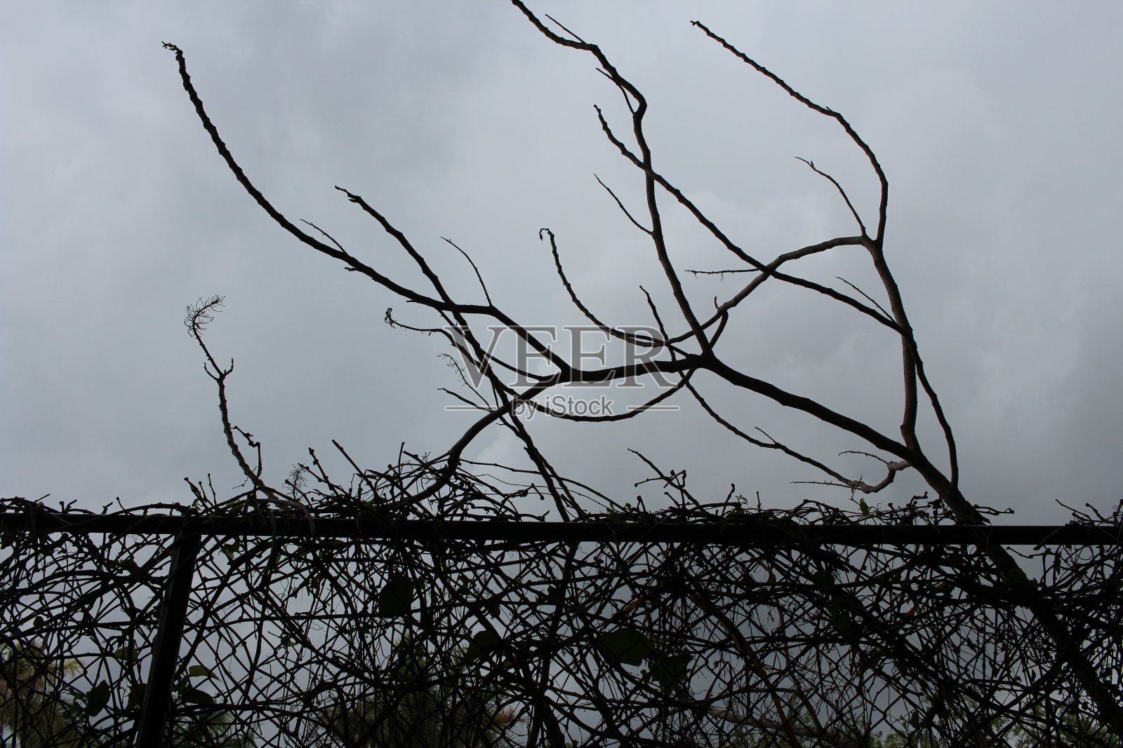 阴天里的黑色铁丝网照片摄影图片
