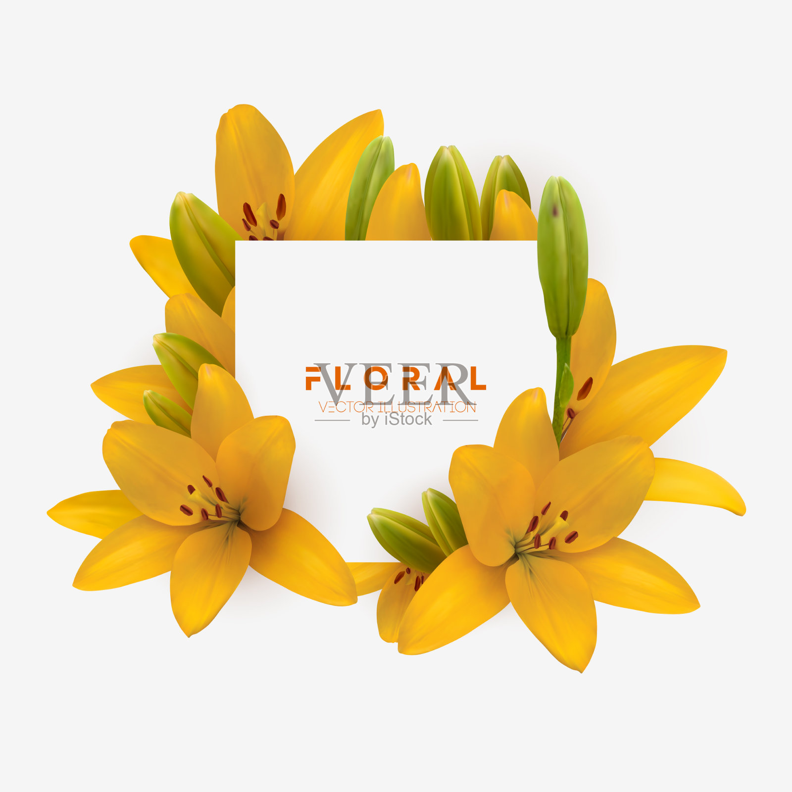 黄百合花束孤立插画图片素材