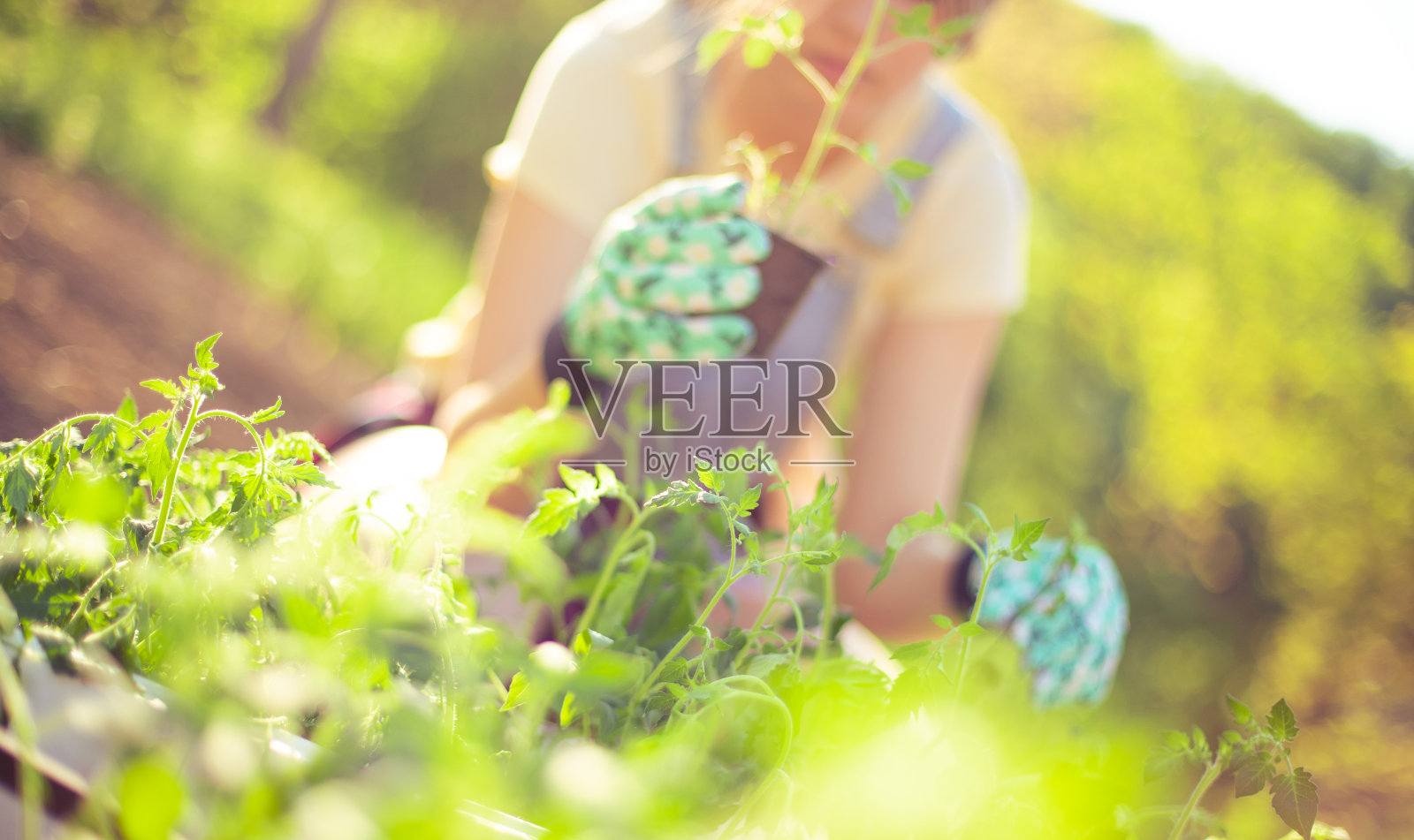 报告的季节照片摄影图片