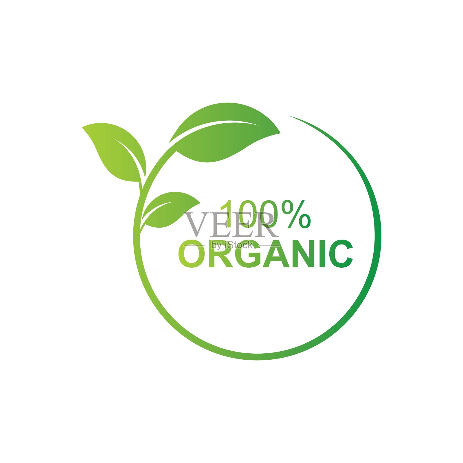 绿叶矢量图标设计上的白色背景。插画图片素材