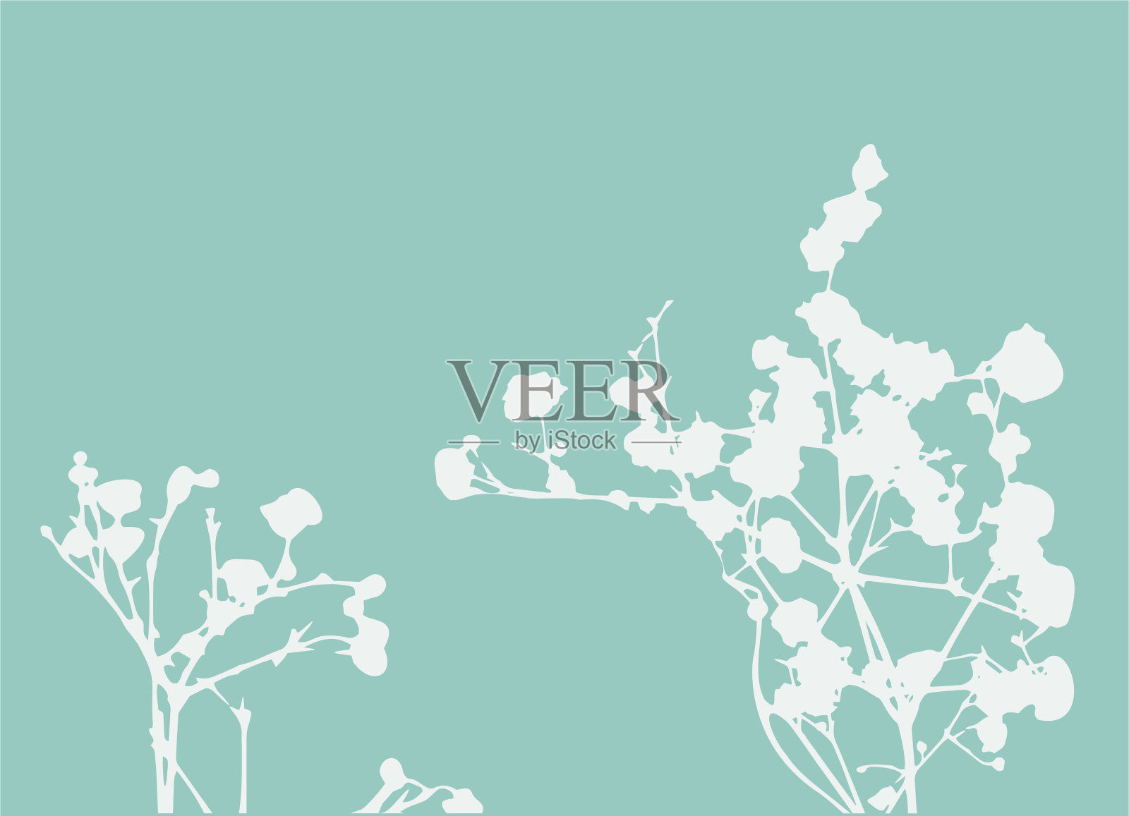 绿松石背景上的白色小花。茄枝植物剪影。用于装饰和设计的装饰元素。向量EPS10。插画图片素材