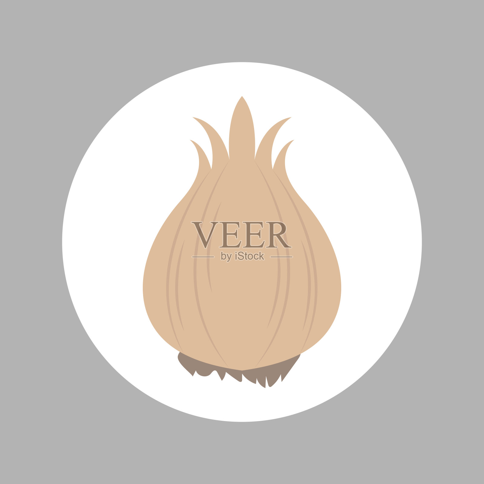 蔬菜，大蒜图标，矢量图形插画图片素材