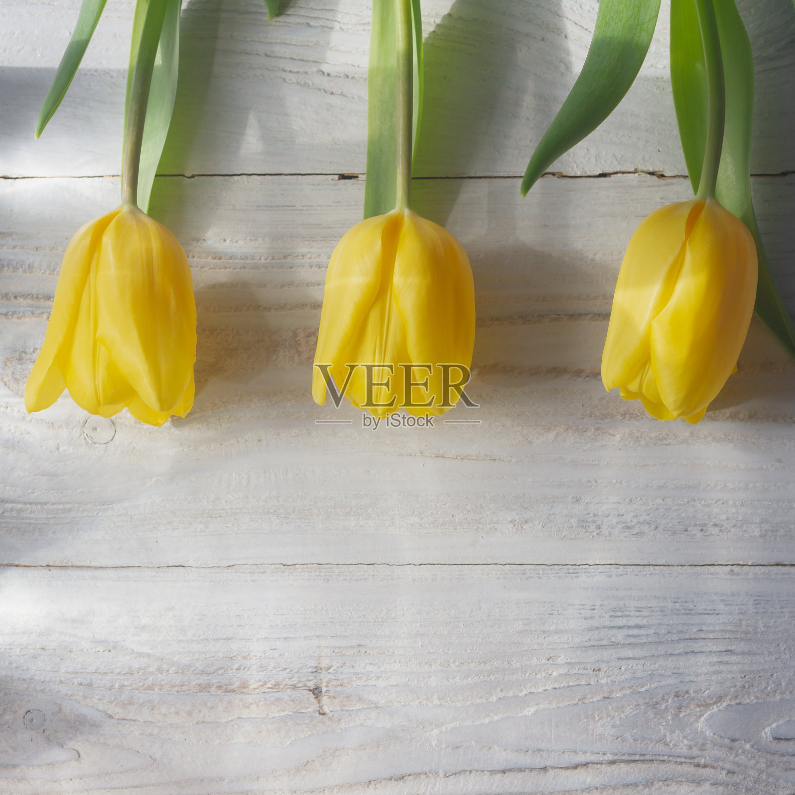 白色木桌上放着黄色的郁金香花。本空间照片摄影图片