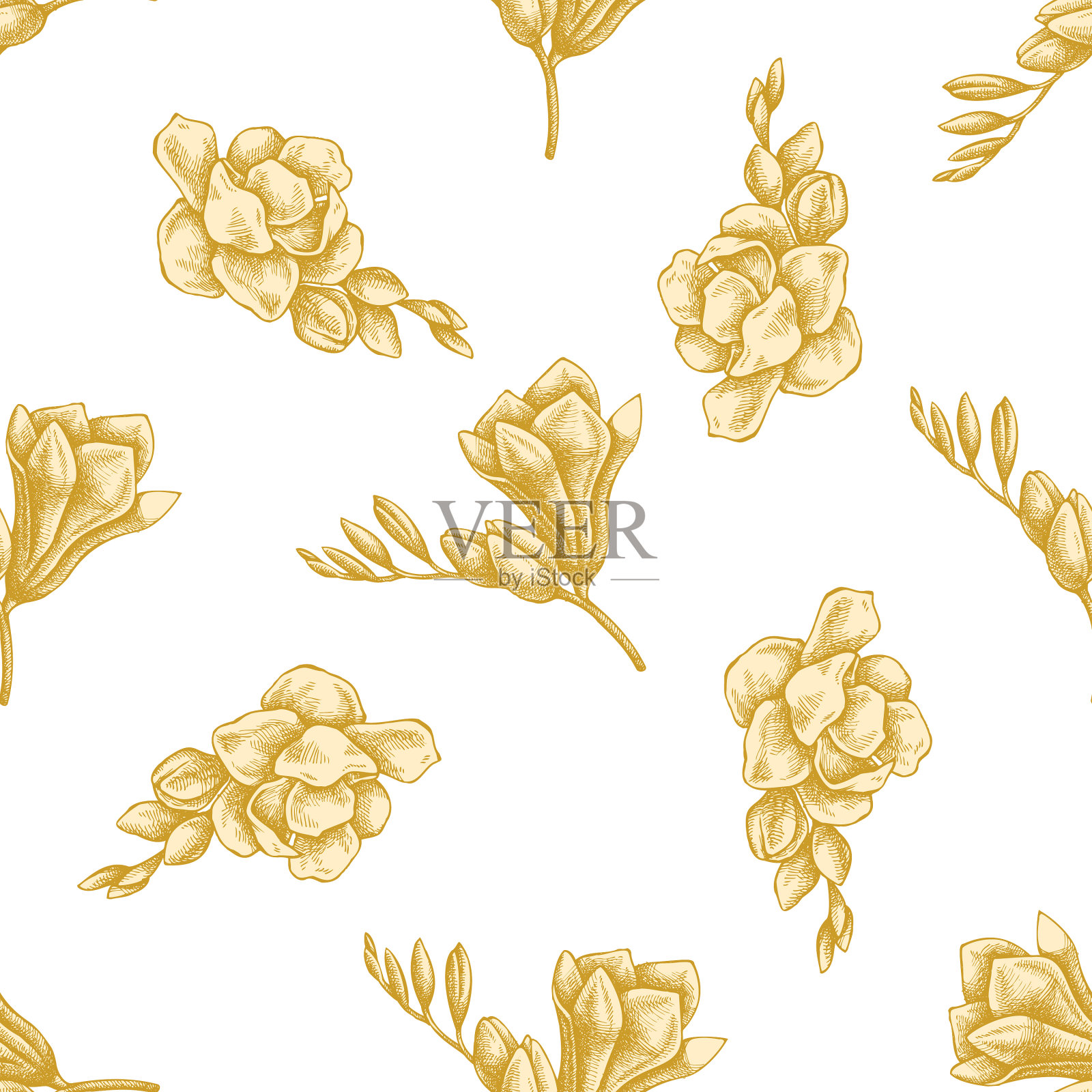 无缝模式与手绘粉彩小苍兰插画图片素材