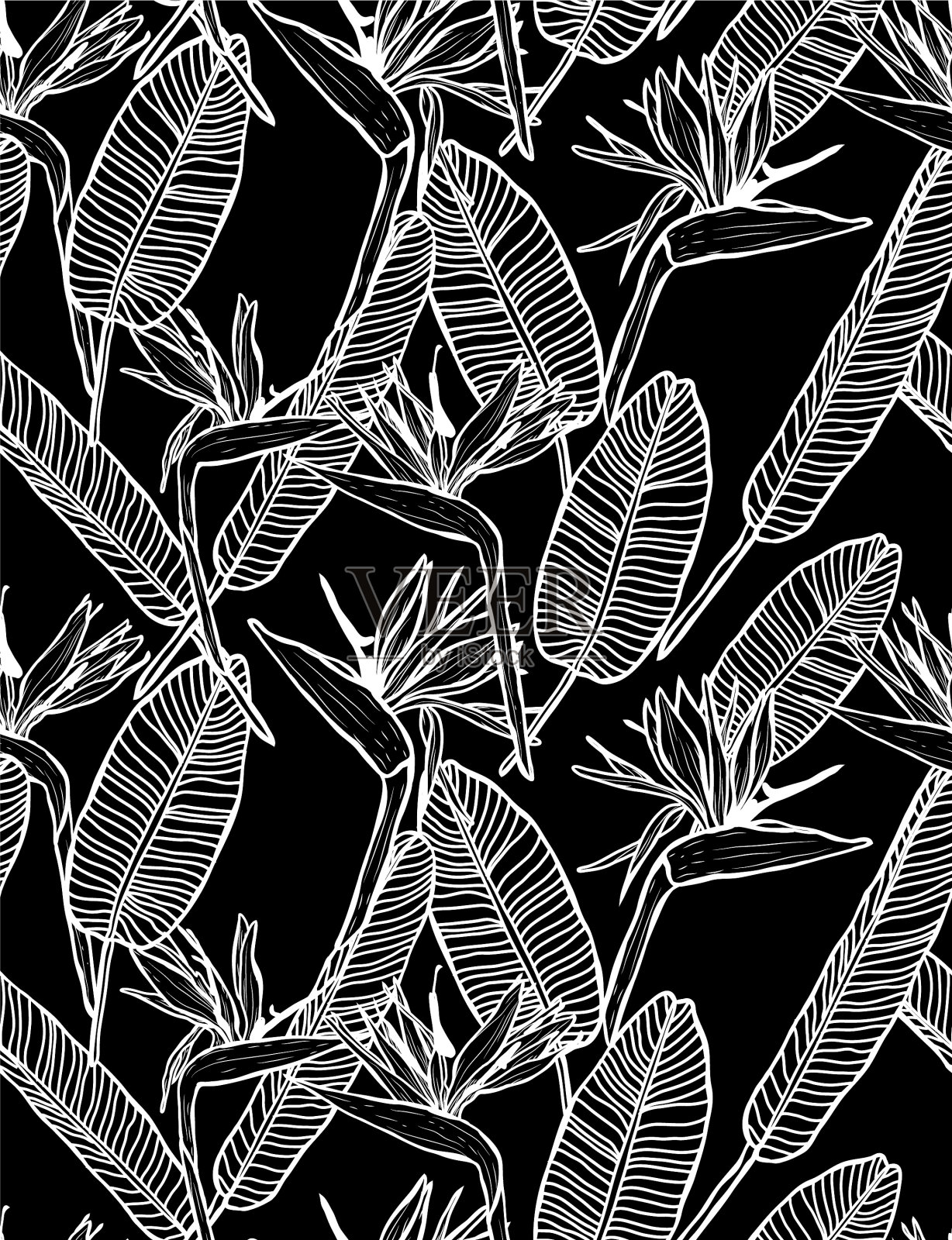 花卉无缝模式插画图片素材