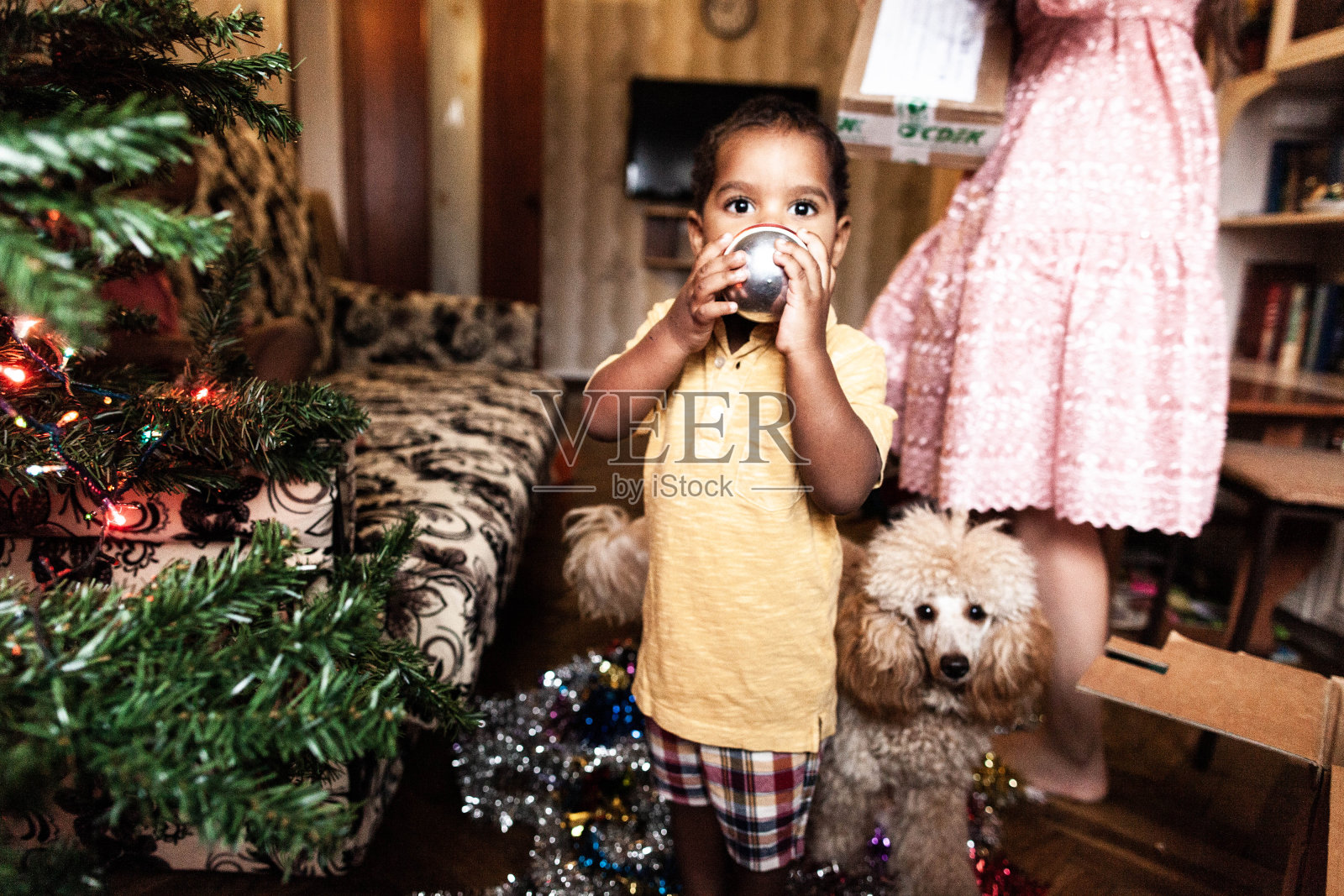 深色皮肤的孩子带着狗狗在家里的圣诞树旁看着圣诞树玩具，家里的室内，宝宝在圣诞树旁，圣诞节，圣诞树，一起，生活方式，惬意，幸福，爱情，童年，一般计划照片摄影图片