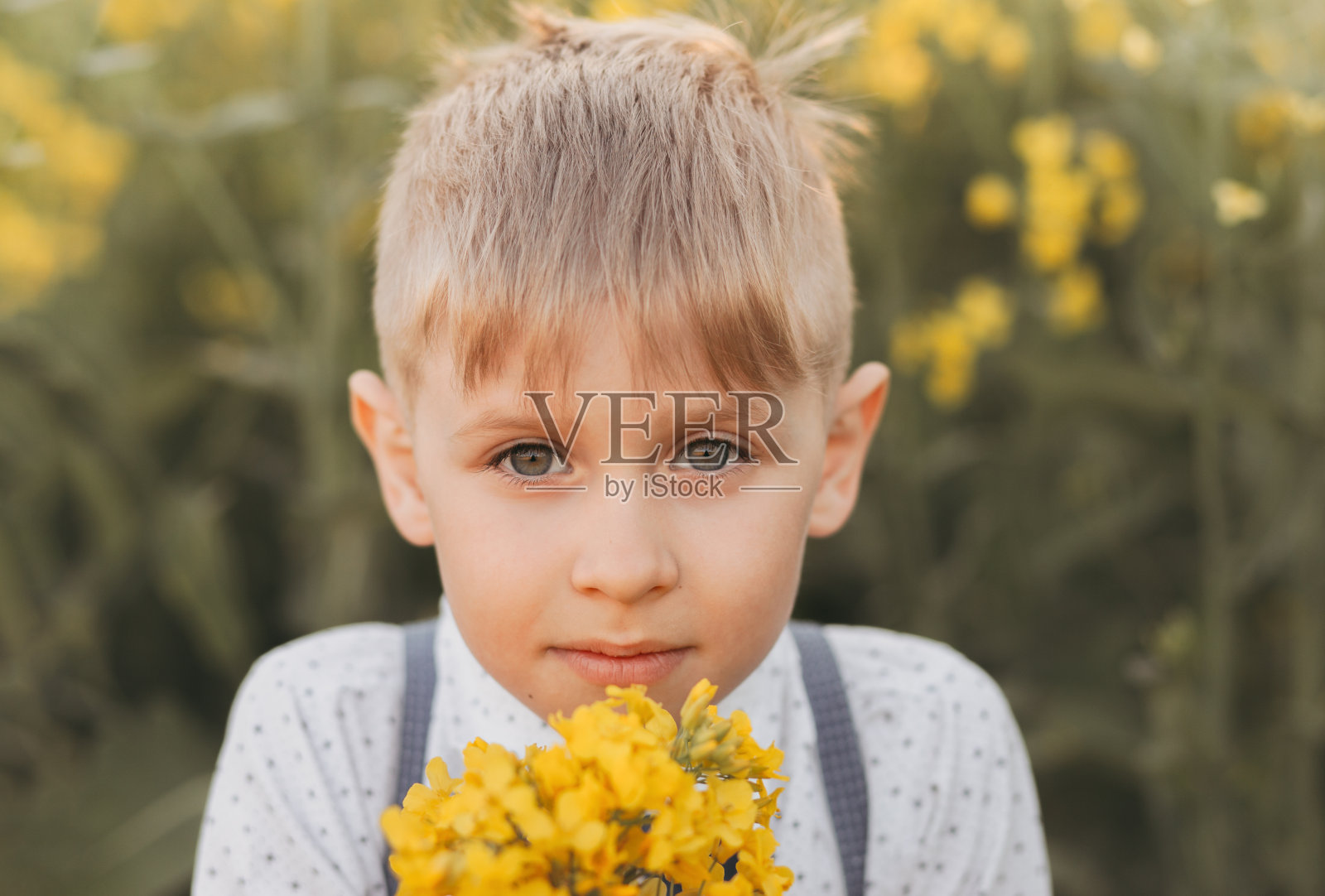 夏天，小男孩在大自然中玩耍。可爱可爱的孩子在油菜地里，近照照片摄影图片