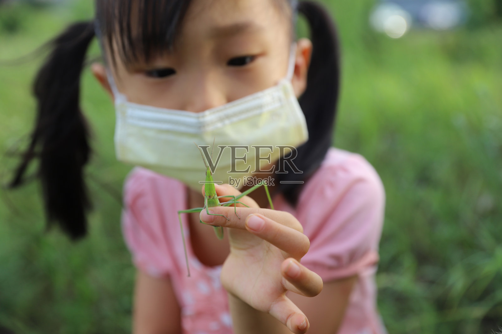 一个亚洲女孩在抓蚱蜢。照片摄影图片