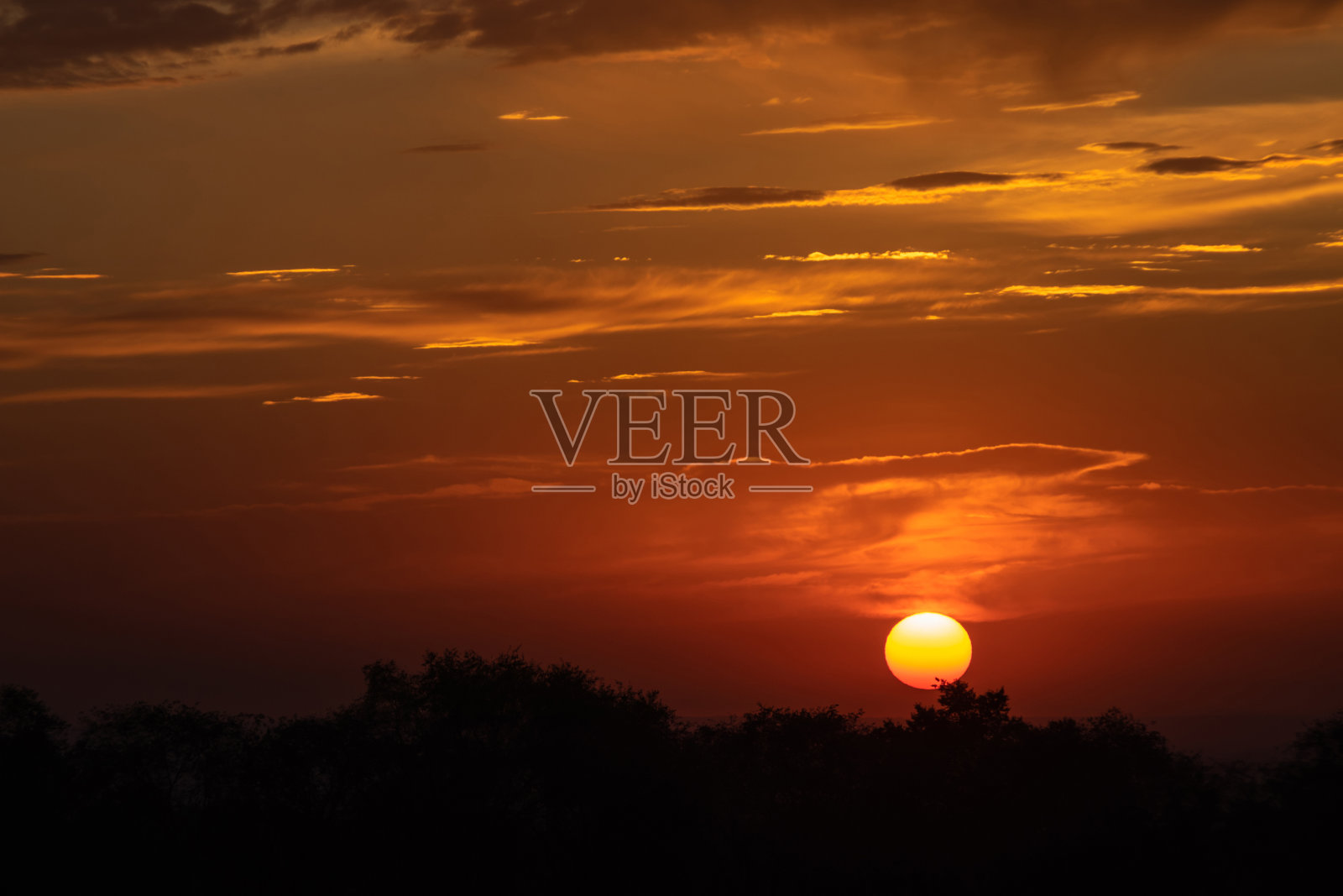 太阳照亮了地平线上的云照片摄影图片