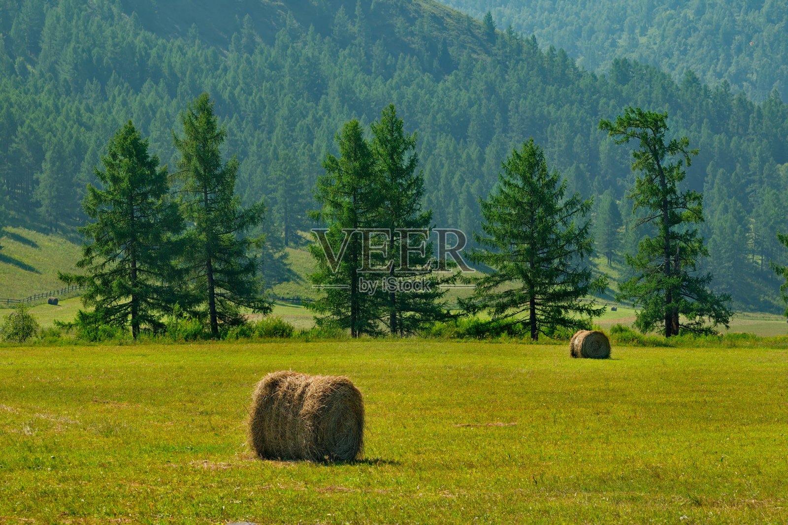 山谷的晒干草季节照片摄影图片