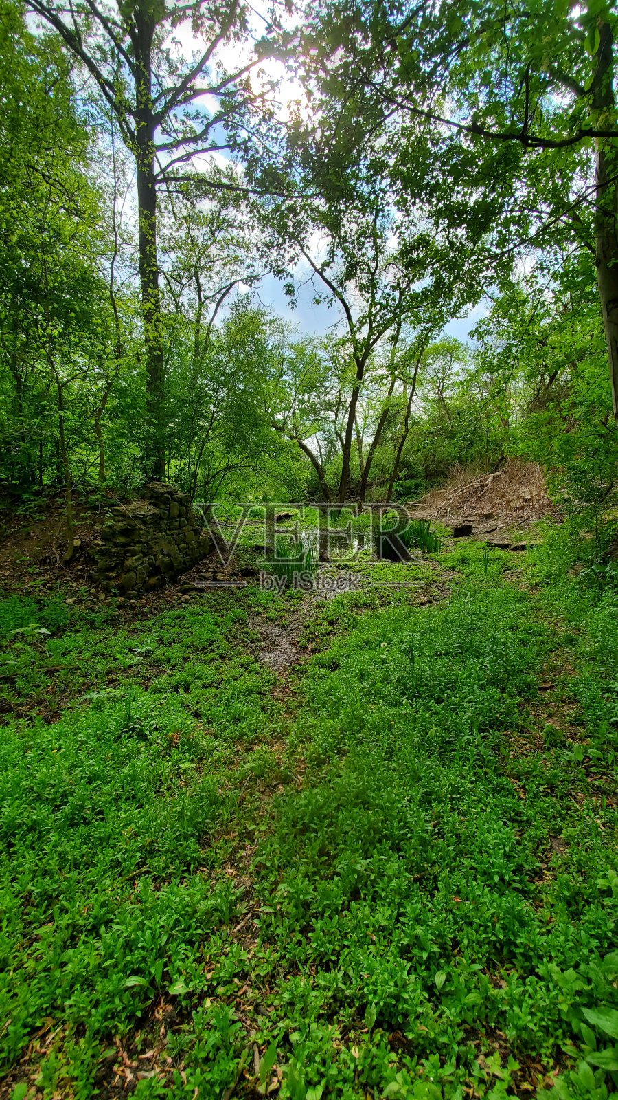 磨坊的废墟照片摄影图片