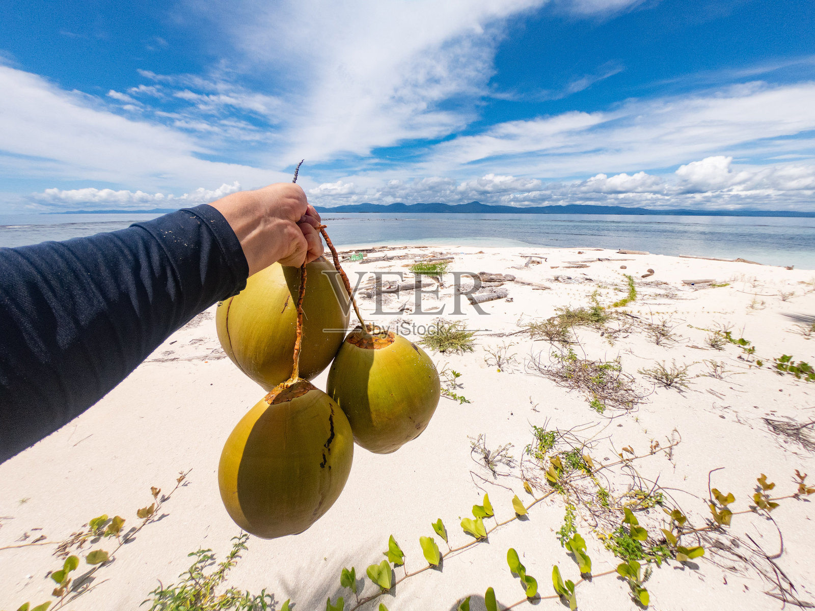 手握椰子在沙滩上，水和天空为背景。冒险旅游概念照片摄影图片