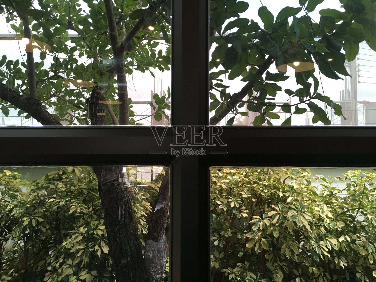 房子的窗户是玻璃做的照片摄影图片