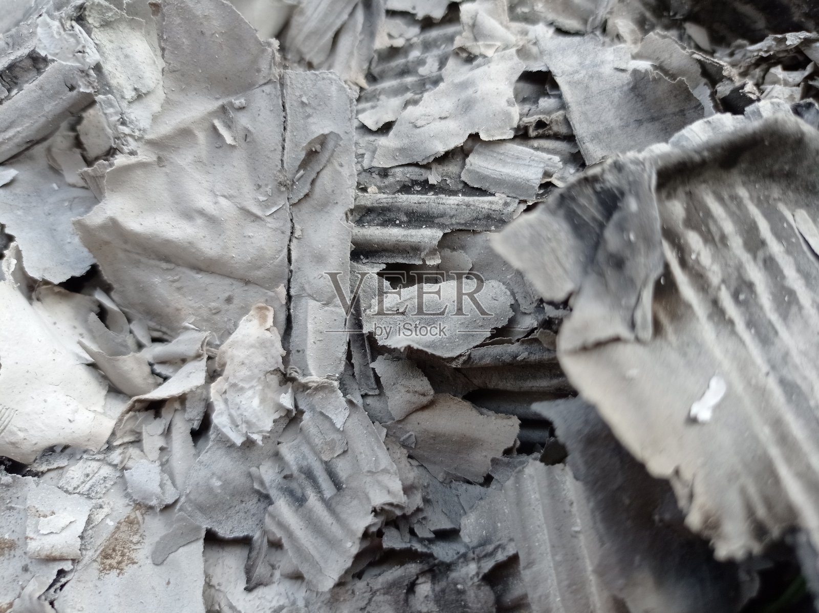 大火烧毁了一切照片摄影图片