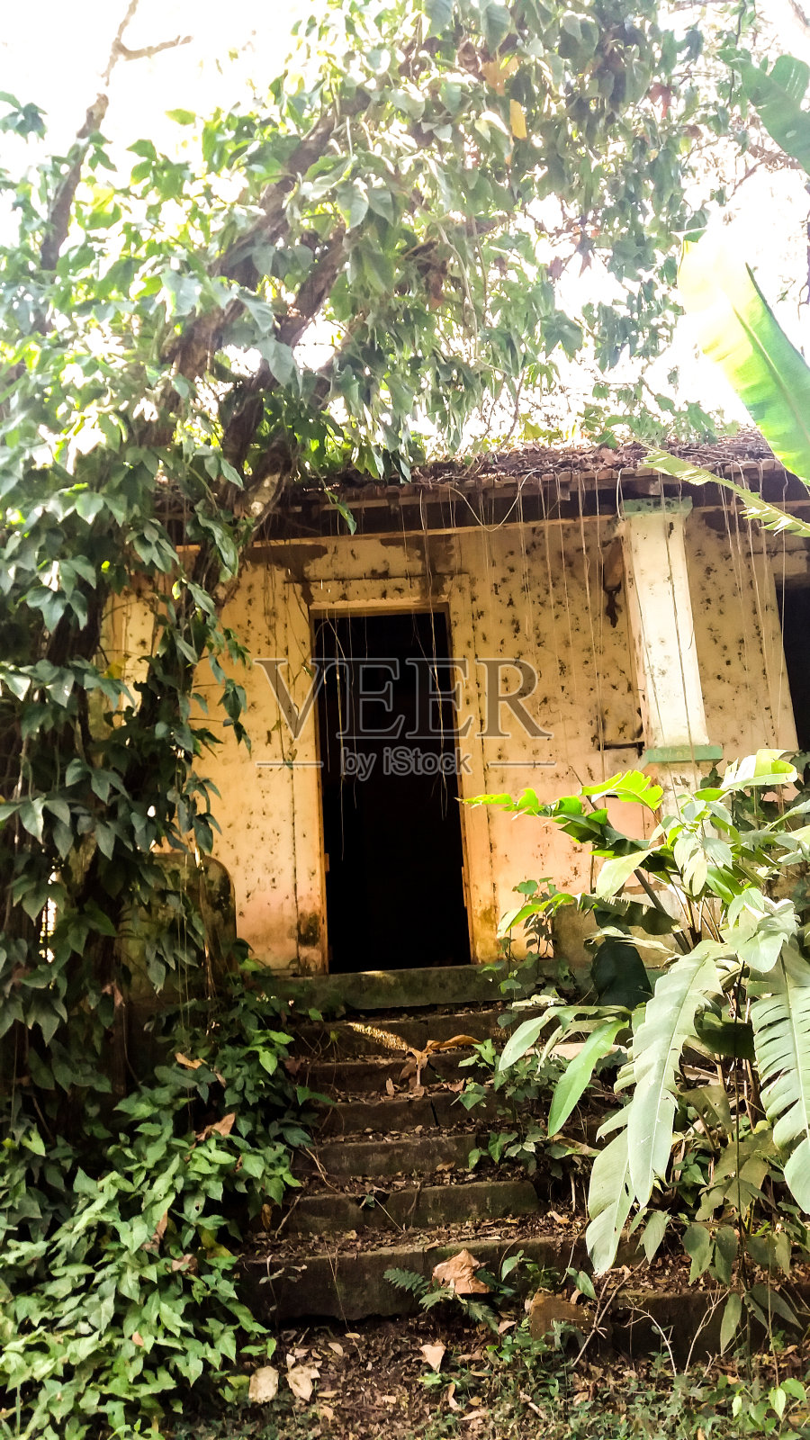 老房子的入口照片摄影图片