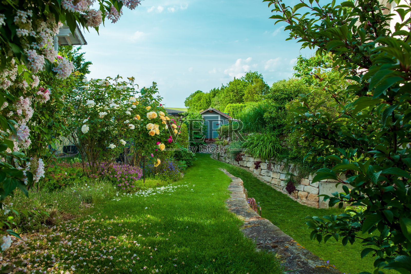 住宅花园，私家花园。家居花园的景观设计，庭院春天的美丽景观。美丽的家花园盛开。照片摄影图片