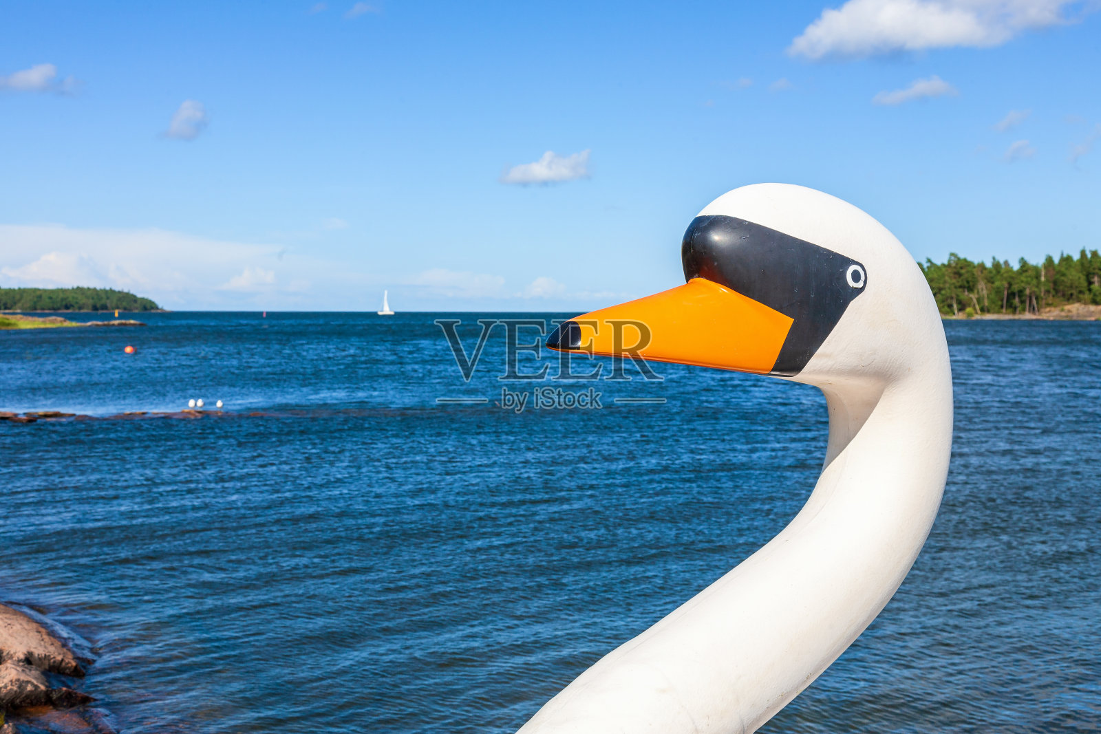 湖景和一头在天鹅桨船上照片摄影图片