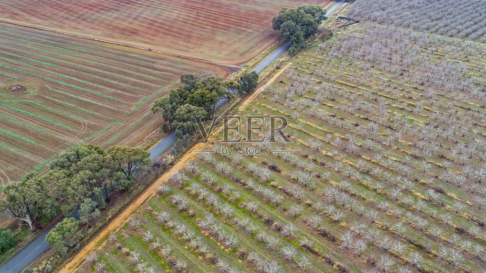 维多利亚Nagambie的开放农田照片摄影图片