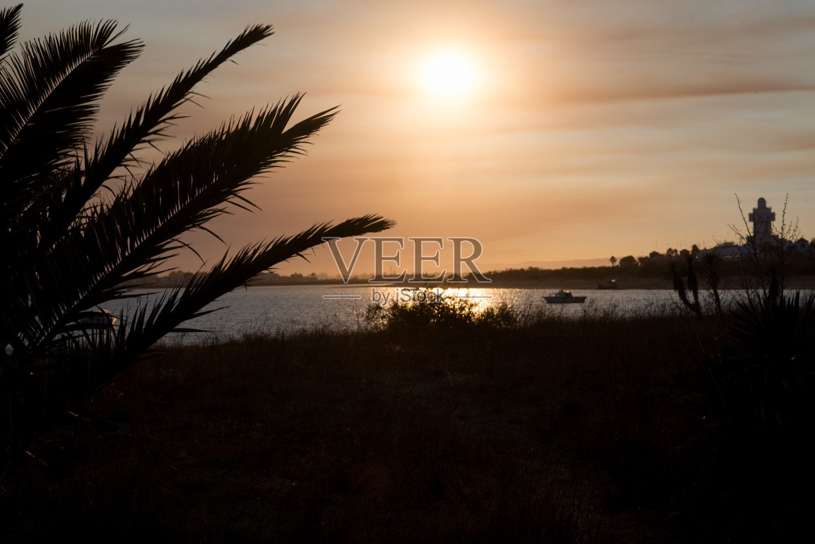 海边的日落，棕榈树旁照片摄影图片