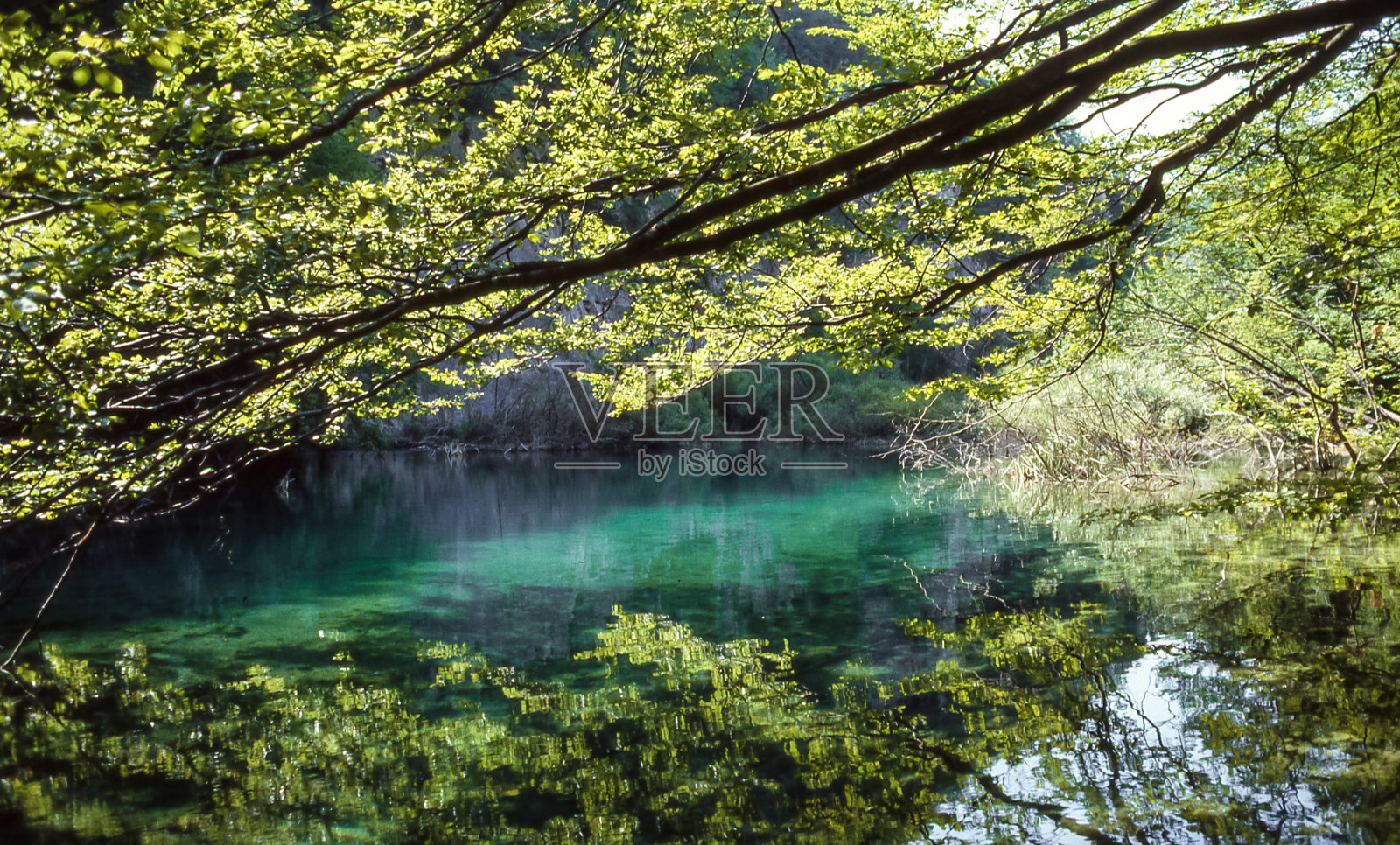 Plitvice国家公园的全景图。照片摄影图片