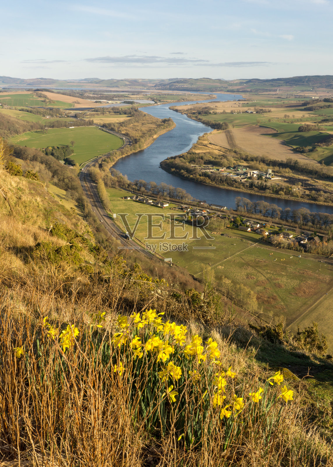 从金努山和水仙花在前景泰河的春景照片摄影图片