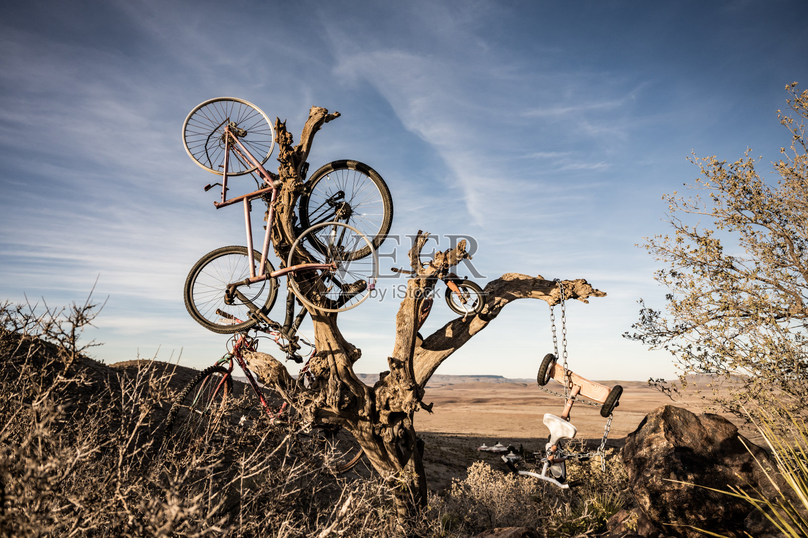 树上的自行车墓地照片摄影图片