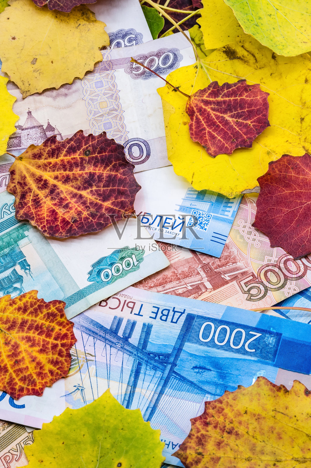 俄罗斯的钱和秋叶。五千二千卢布。纸币和橡树叶。照片摄影图片