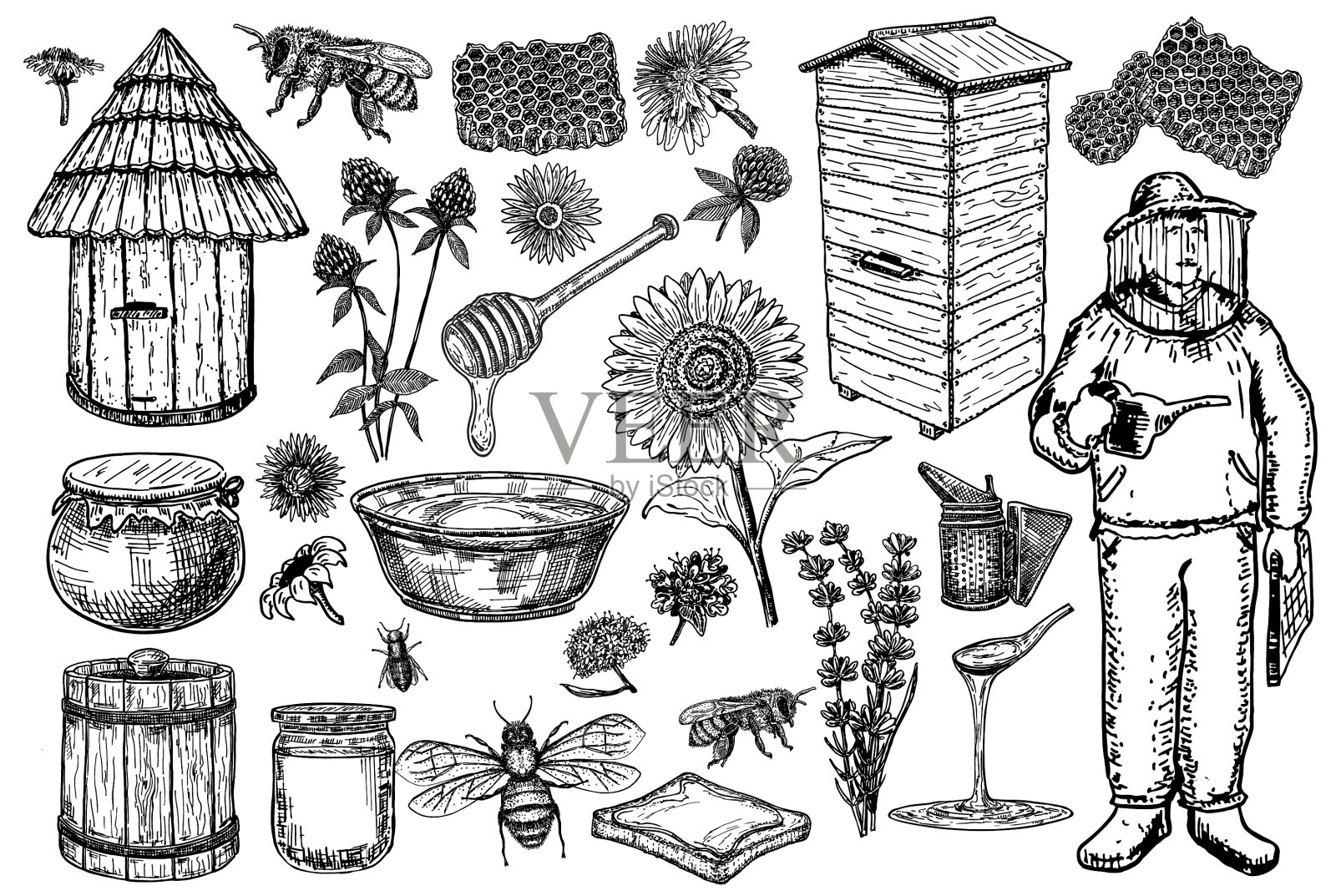 养蜂场速写集产蜜蜜蜂插画图片素材