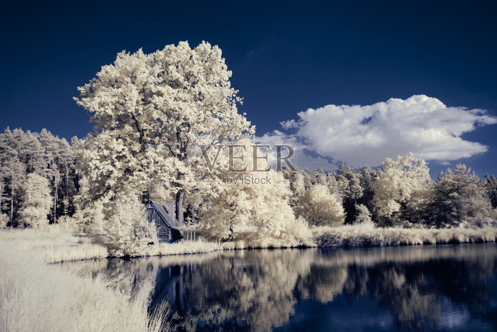 红外摄影-红外照片下的景观天空与云照片摄影图片