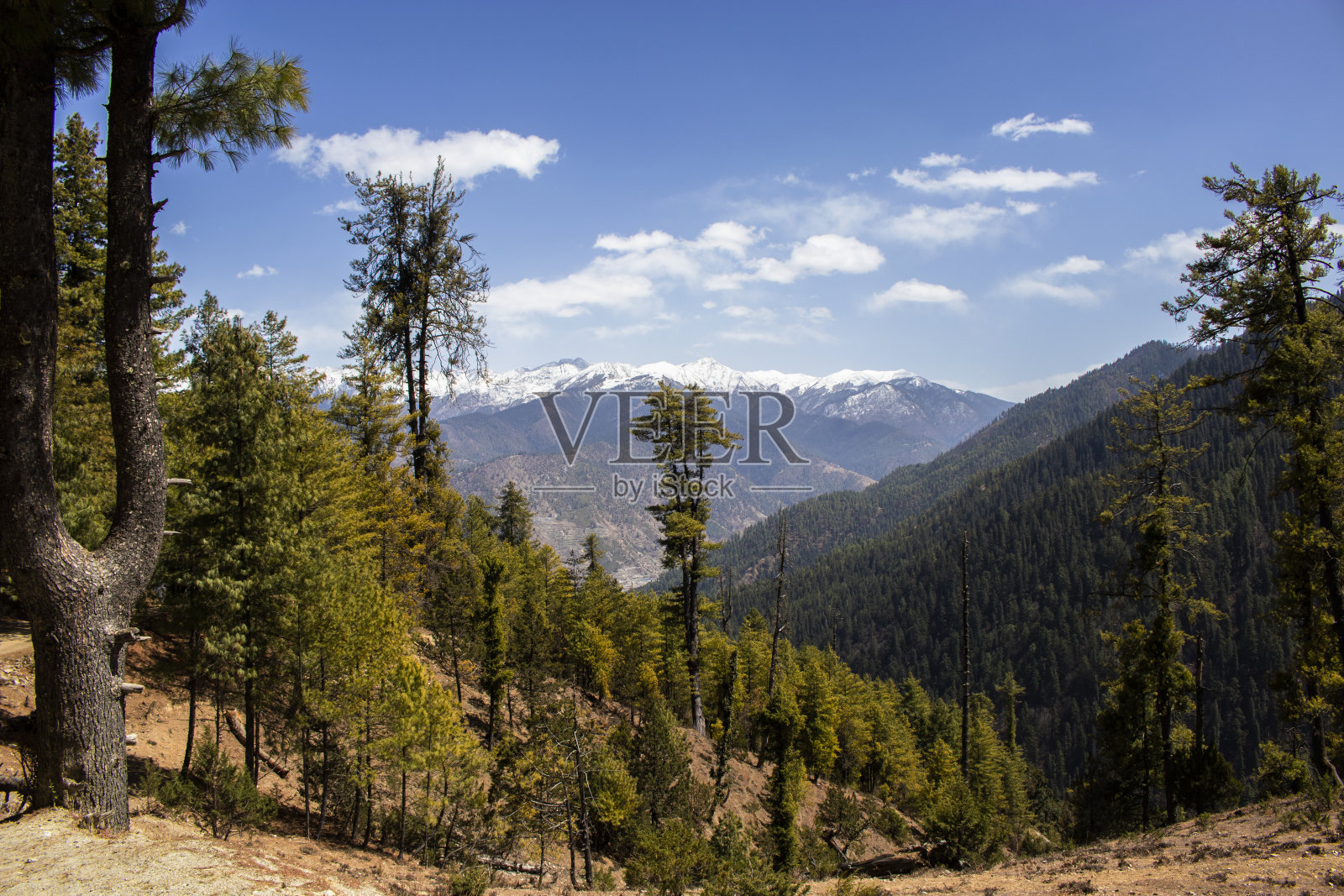 和平在喜马拉雅山脉的照片摄影图片