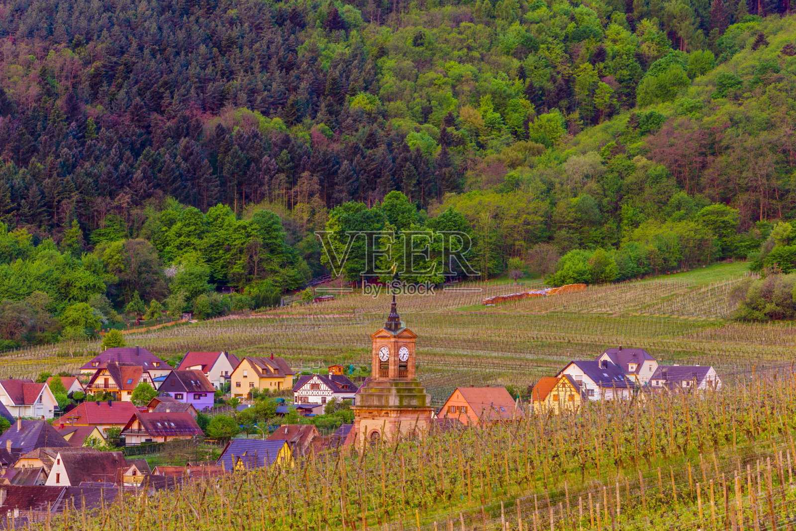 法国阿尔萨斯地区照片摄影图片