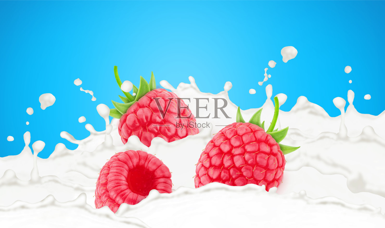蓝色背景上的牛奶溅出的覆盆子。照片摄影图片