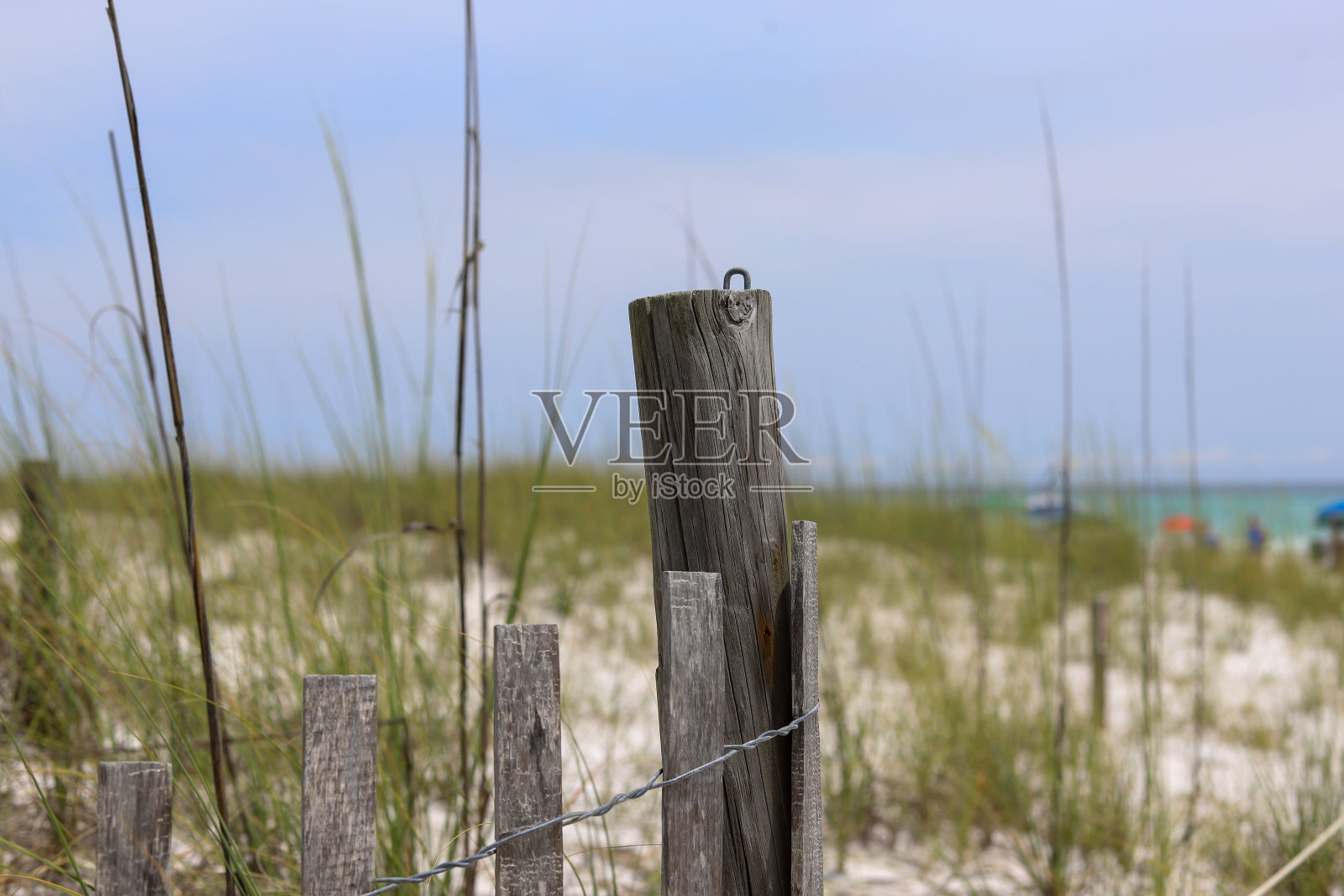 蓝天下的沙丘照片摄影图片