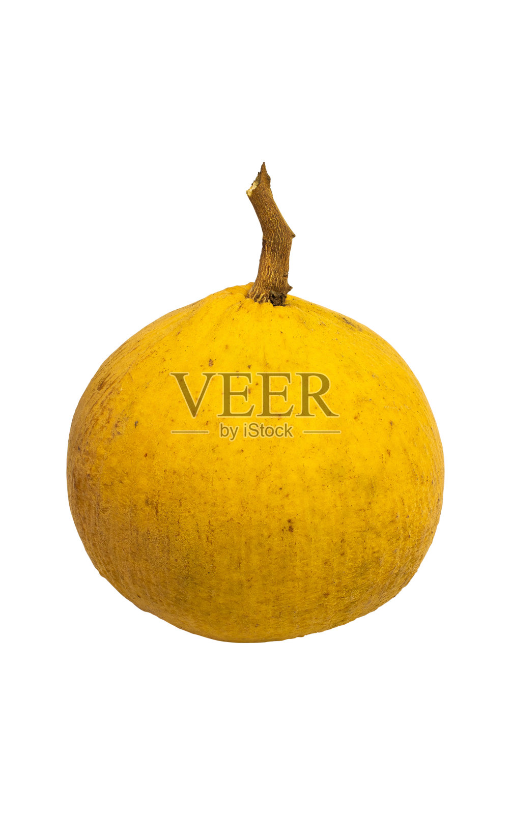 成熟的桑托黄，味酸甜。照片摄影图片