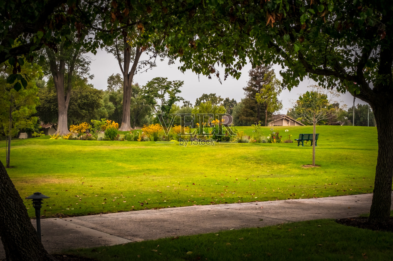 被诬陷。照片摄影图片
