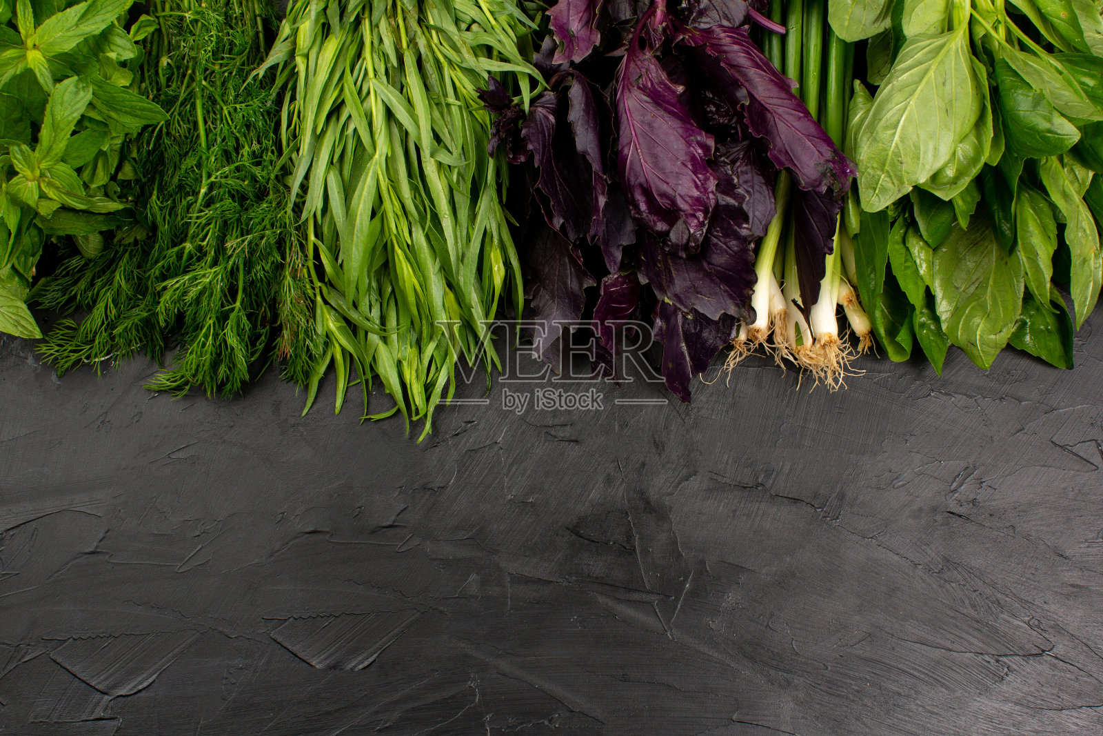 许多不同的绿色在黑色的背景照片摄影图片