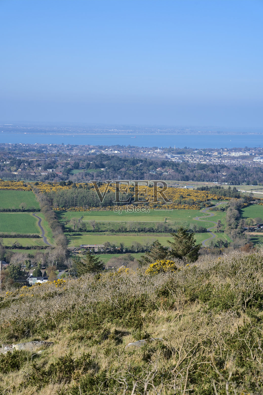 在阳光明媚的日子里，从Ballycorus, Co.，爱尔兰都柏林，从Ballycorus铅矿看到的黄色开花金雀花，绿色的田野，卷曲的道路和南都柏林。高分辨率照片摄影图片