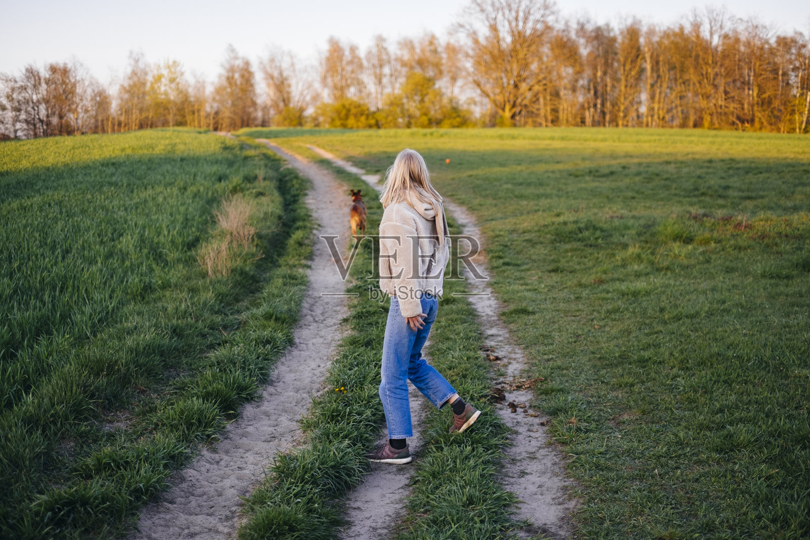 宠物主人在早上散步时给狗扔球照片摄影图片