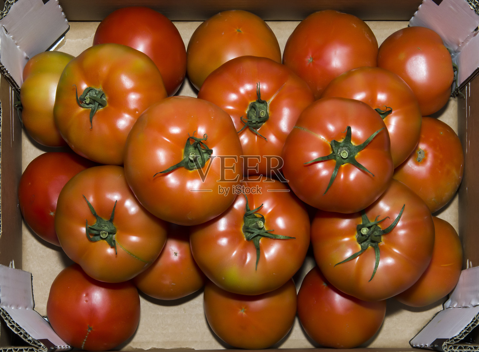 精致的红色西红柿在白色的背景照片摄影图片