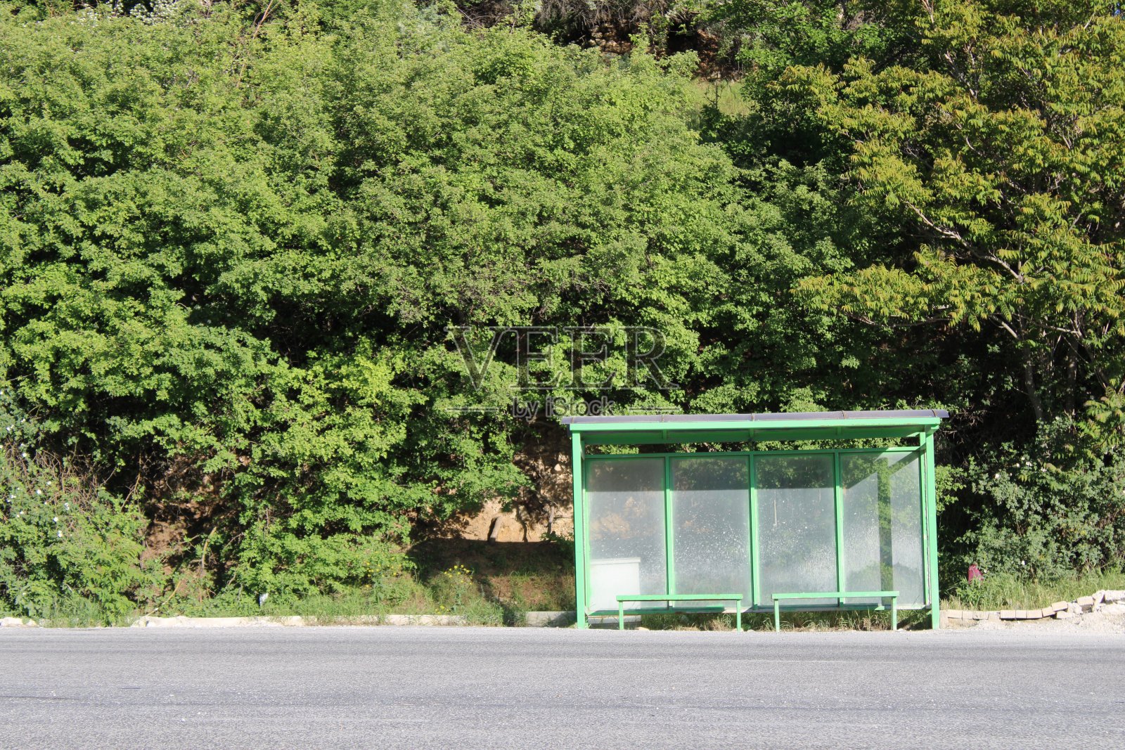 对象和性质照片摄影图片