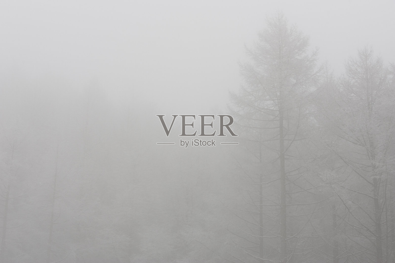 雪山照片摄影图片