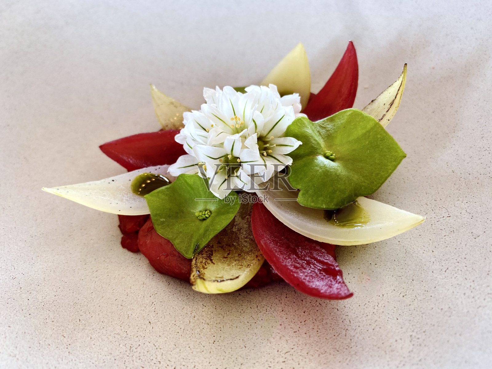 新西兰野味与野花照片摄影图片